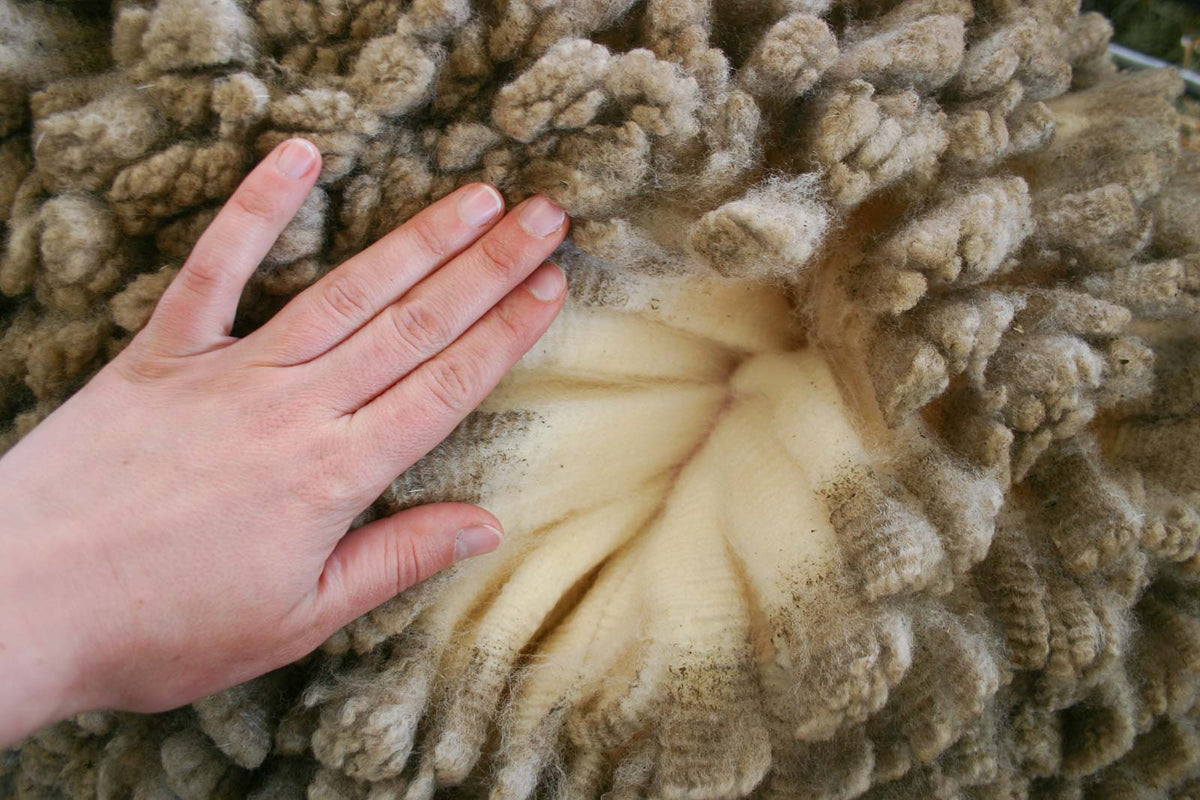 Woolen & Worsted