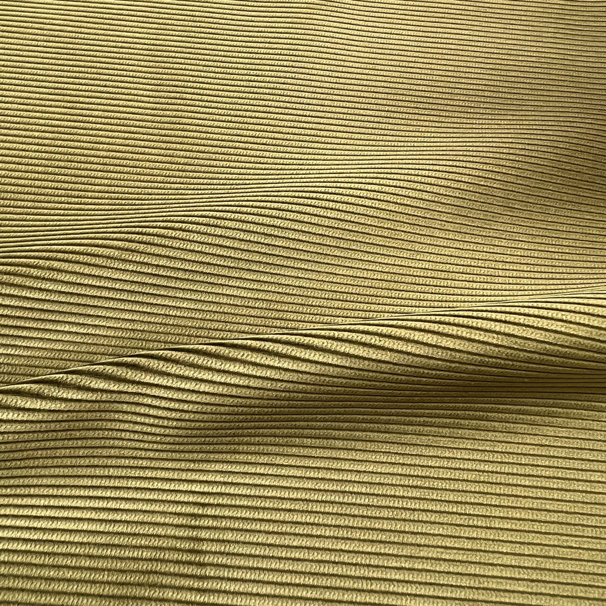 SAL179- OLIVE – 8 WALE CORDUROY