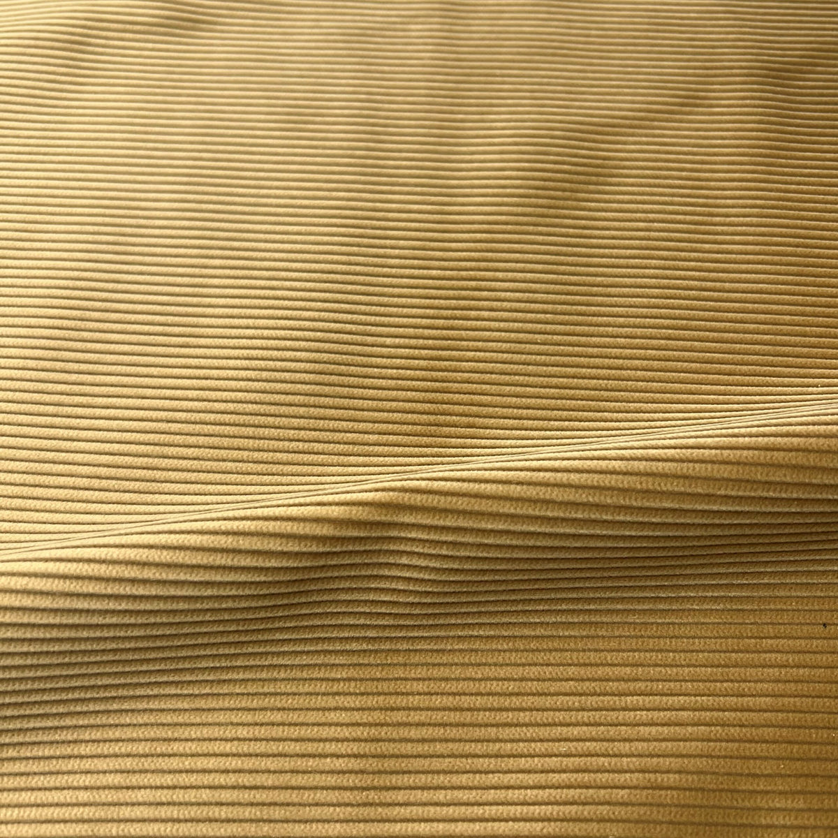SAL182 - FAWN – 8 WALE CORDUROY