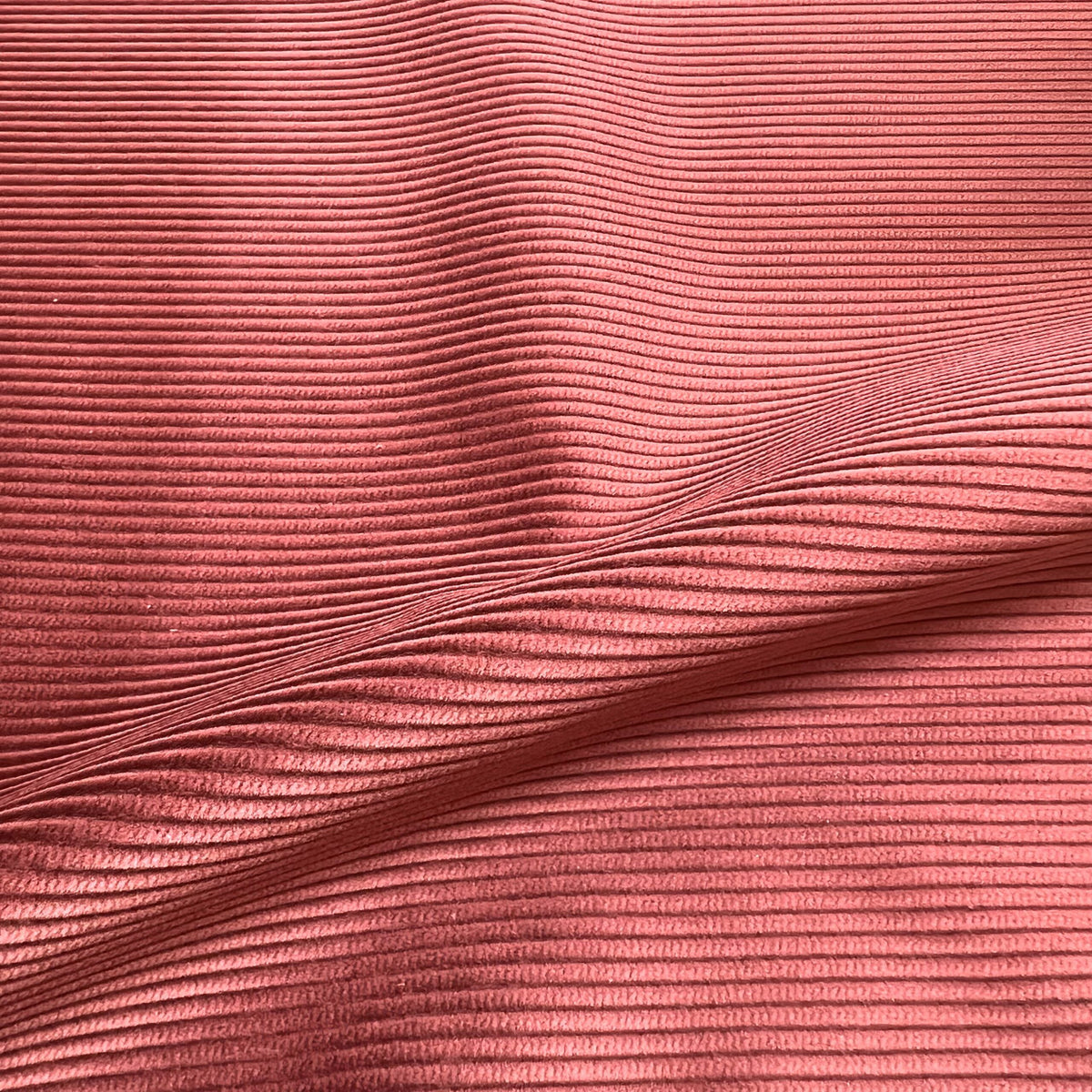 SAL185 - WINE RED – 8 WALE CORDUROY