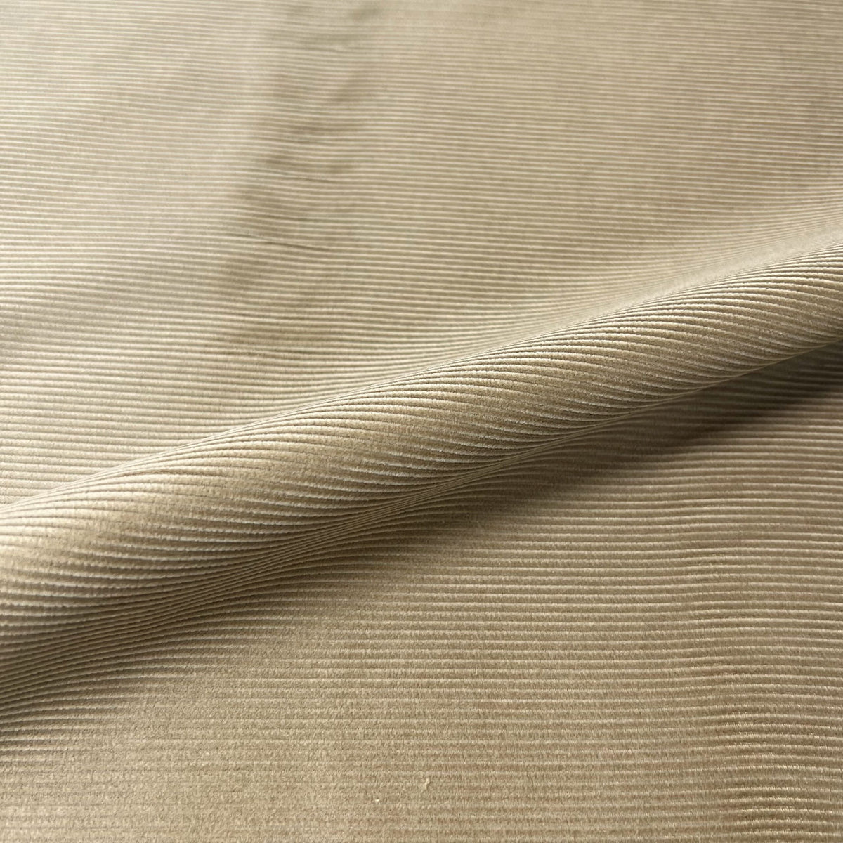 SAL189 - FAWN – 12 WALE CORDUROY