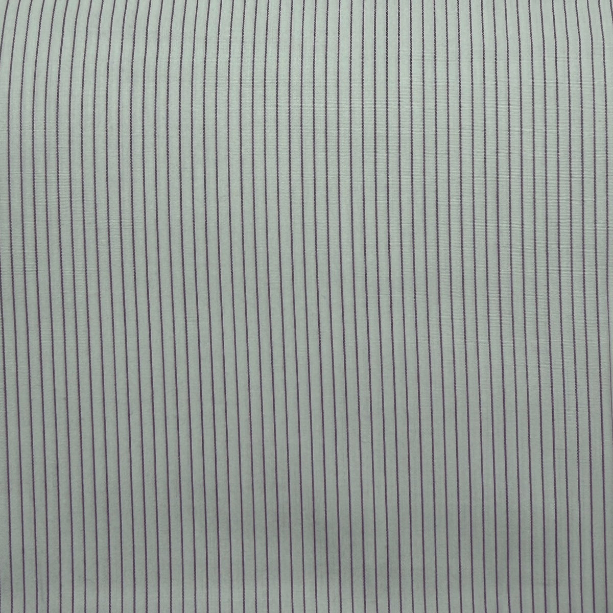 SS19 - Fine Purple Stripe