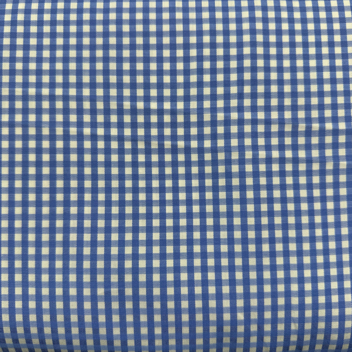 SS26 - Blue Gingham