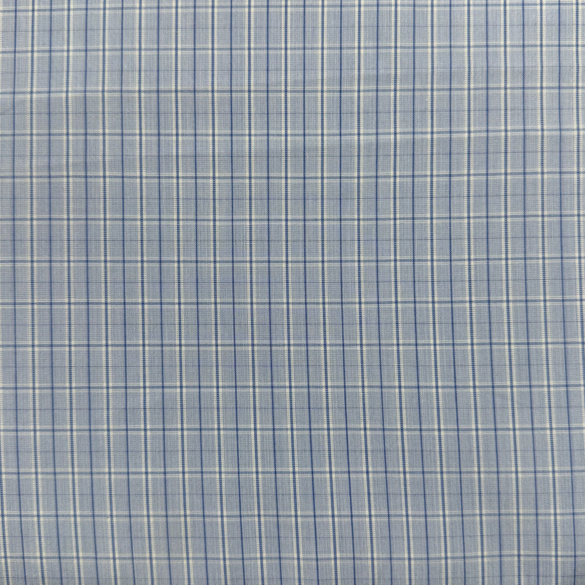 SS36 - Blue Check