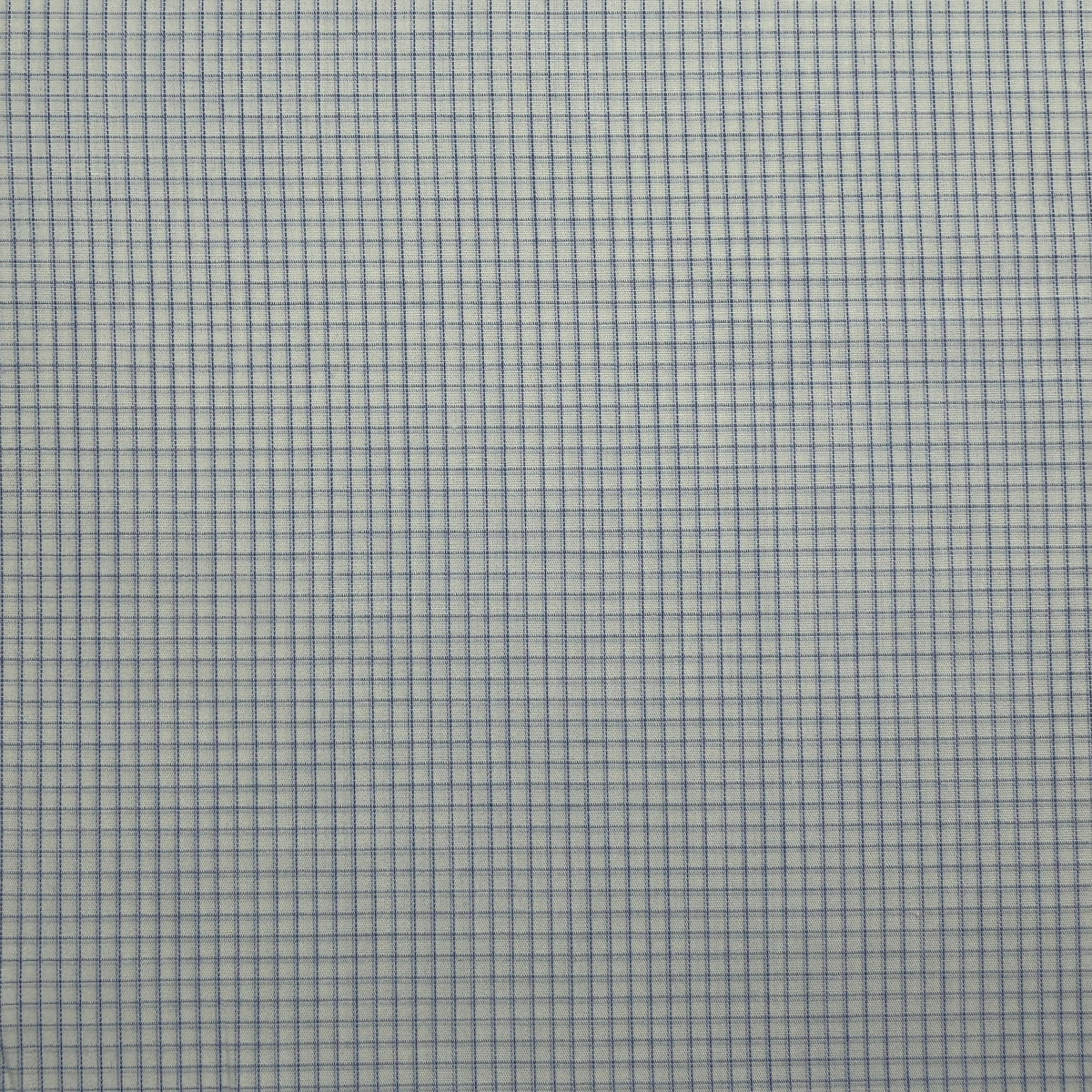 SS45 - Blue Small Check