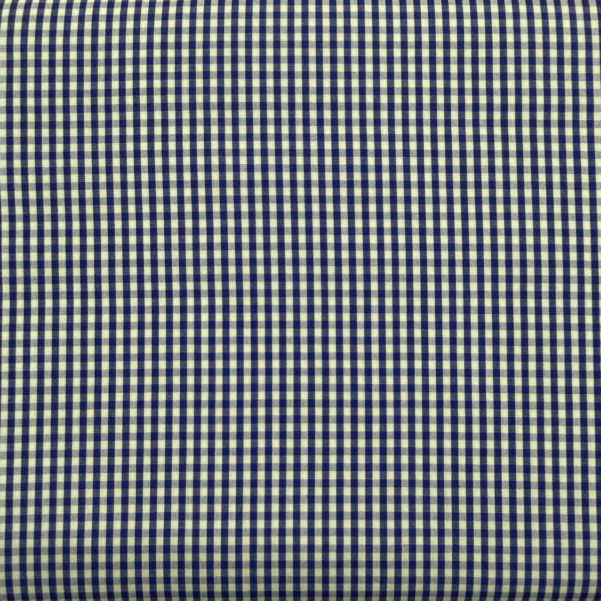 SS5 - Blue & White Gingham