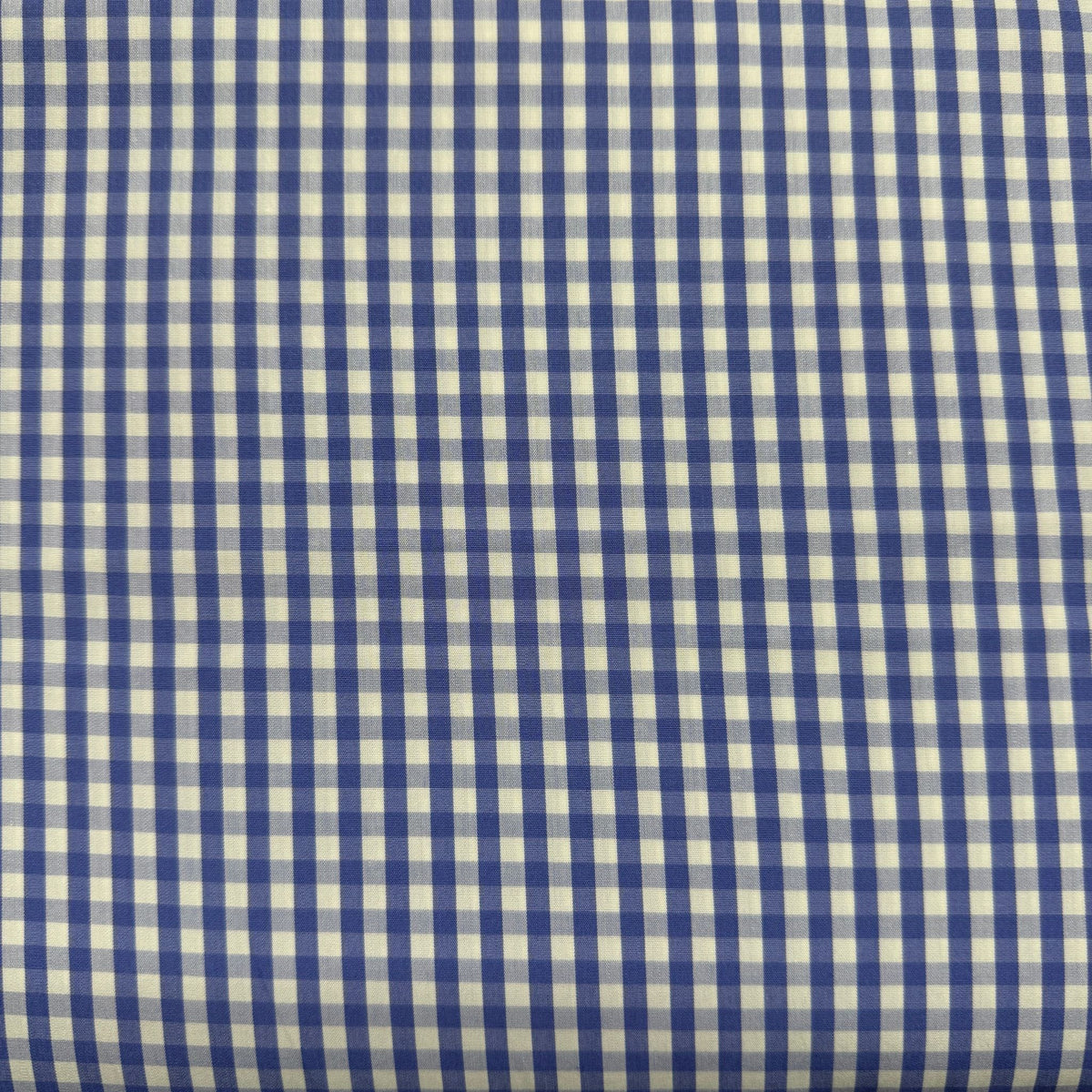 SS55 - Blue Gingham