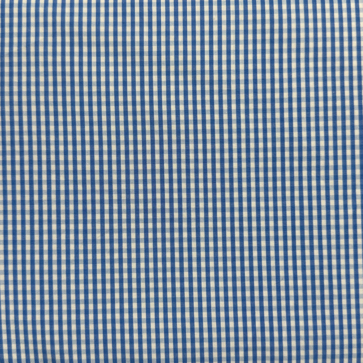 SS56 - Light Blue Gingham