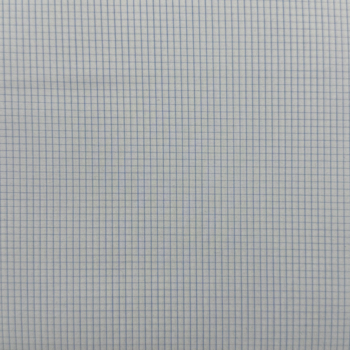 SS89 - Blue Small Check