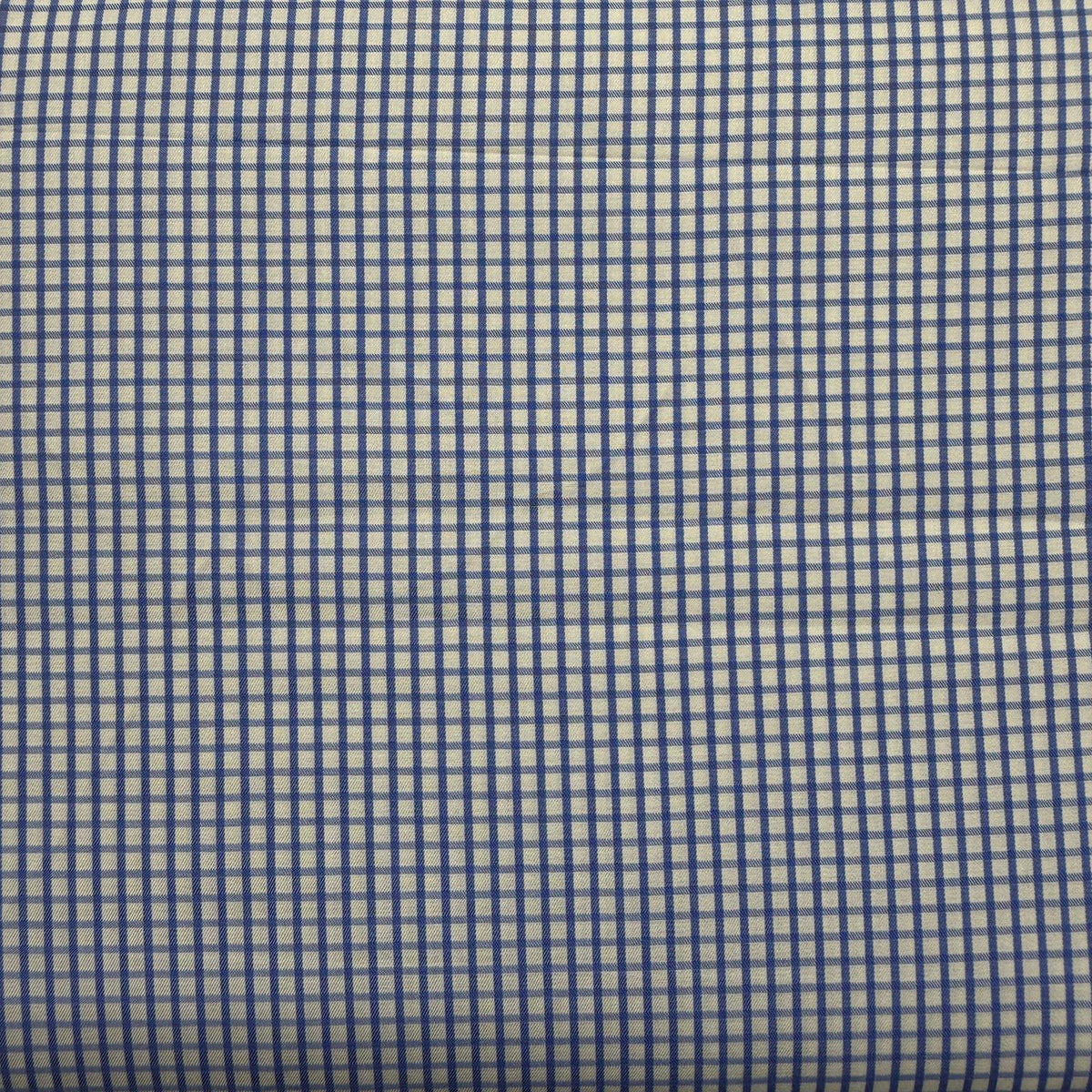 SS9 - Blue Check