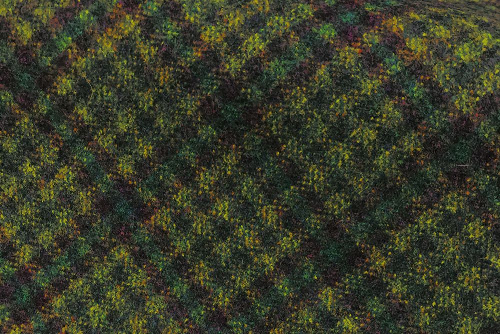 H3409 - Green Check W/ Purple Green (390 grams / 13.5 Oz)