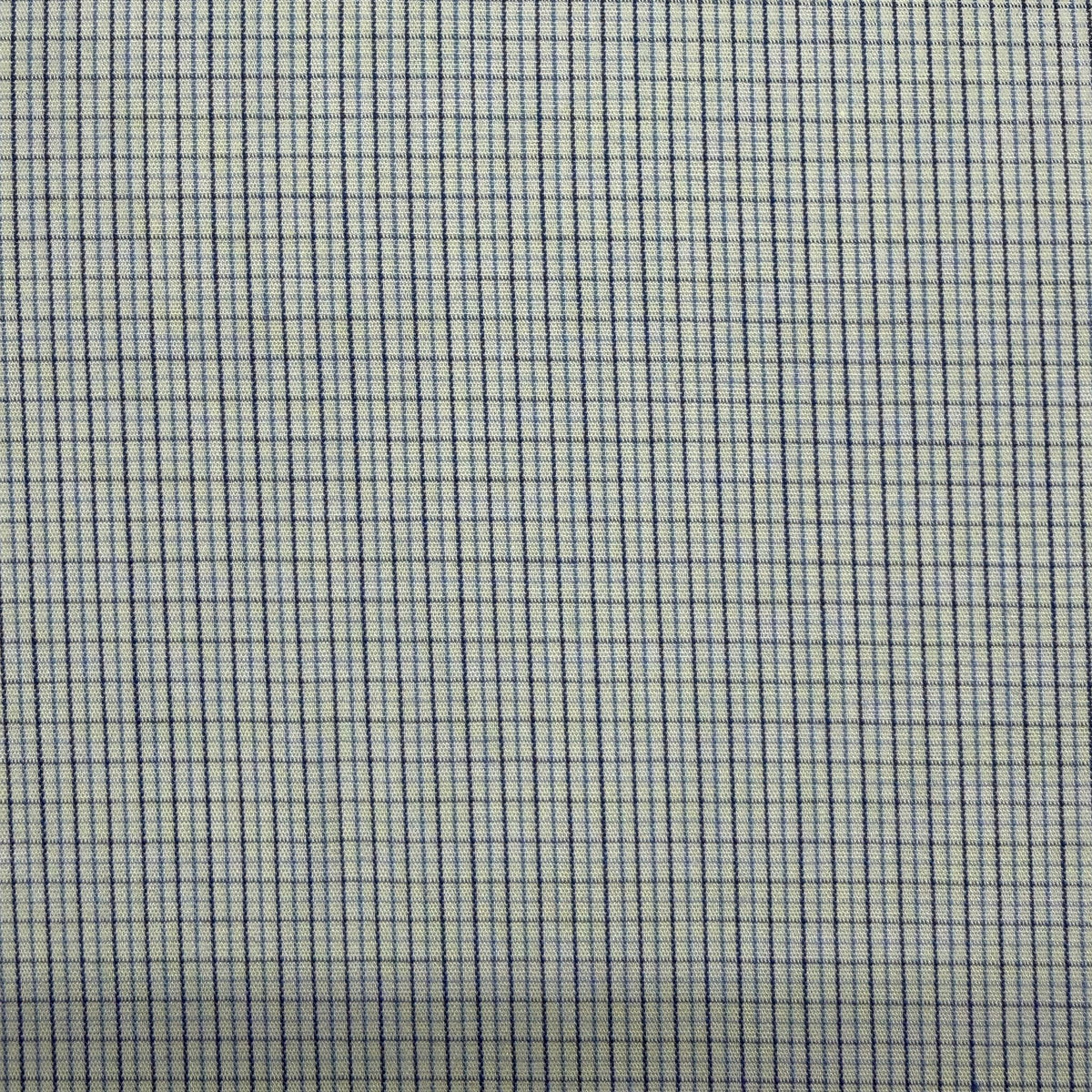 SS41 - Blue Micro Check