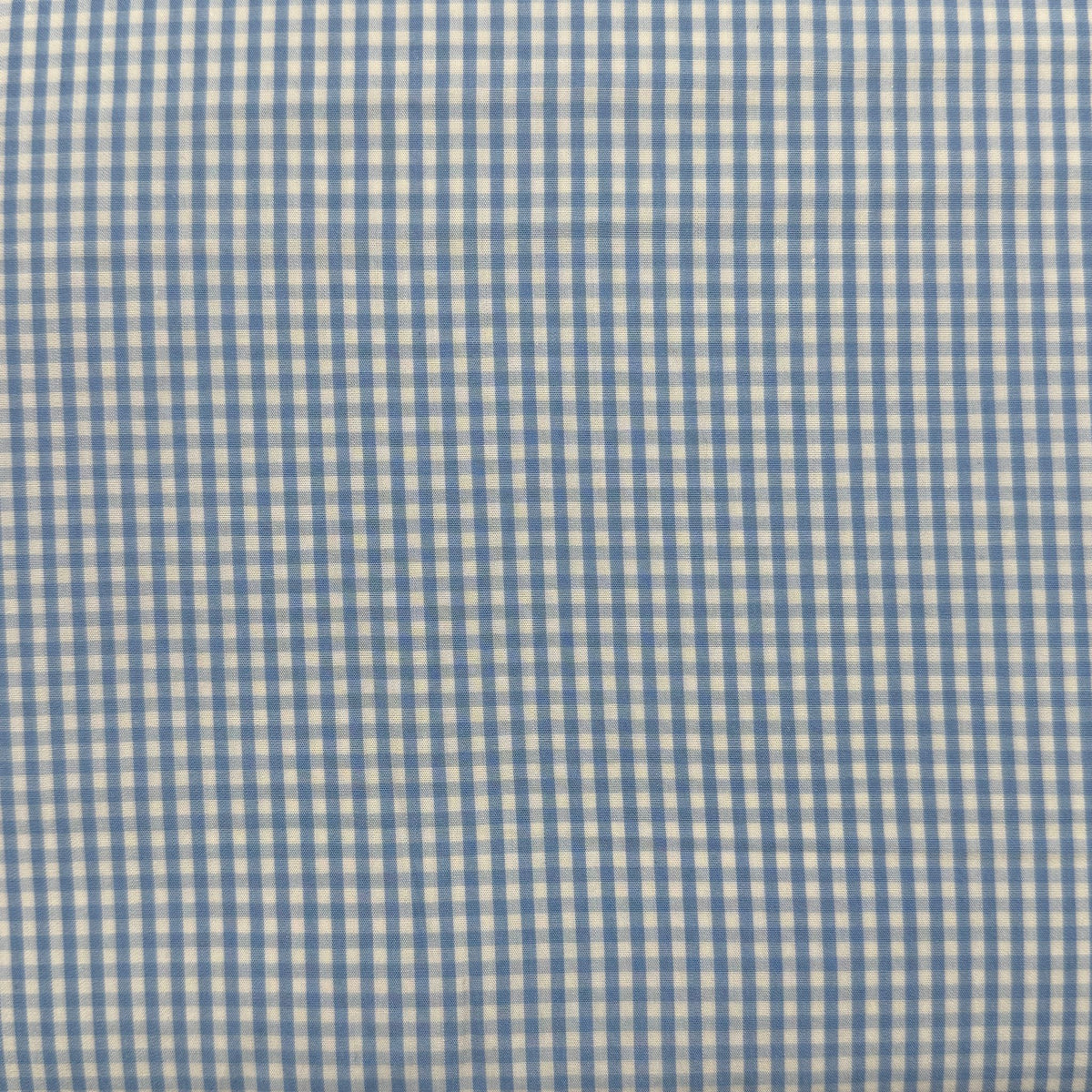 SS61 - Light Blue Small Gingham