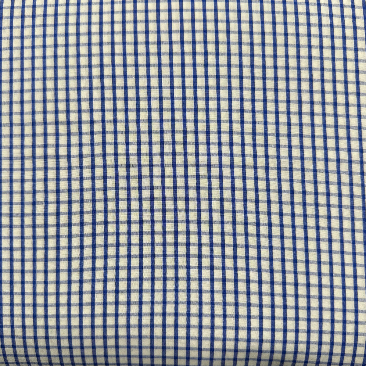 SS69 - Royal Blue Check