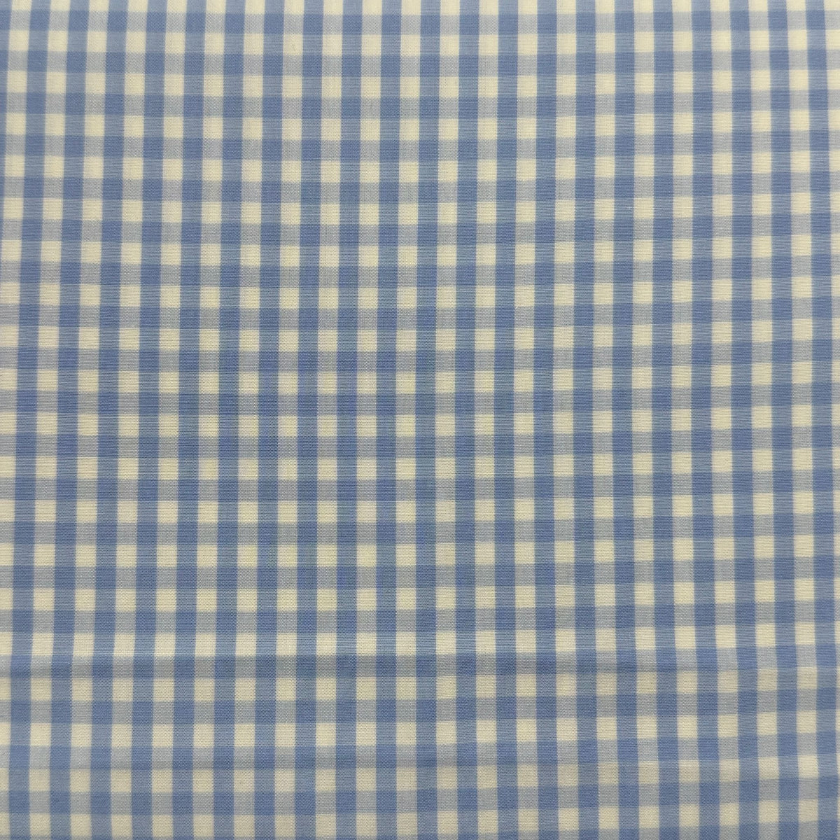 SS80 - Light Blue Gingham